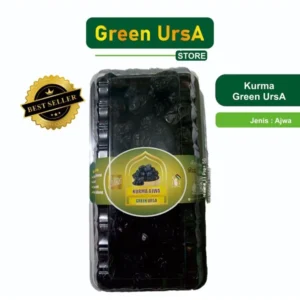 KURMA AJWA PREMIUM